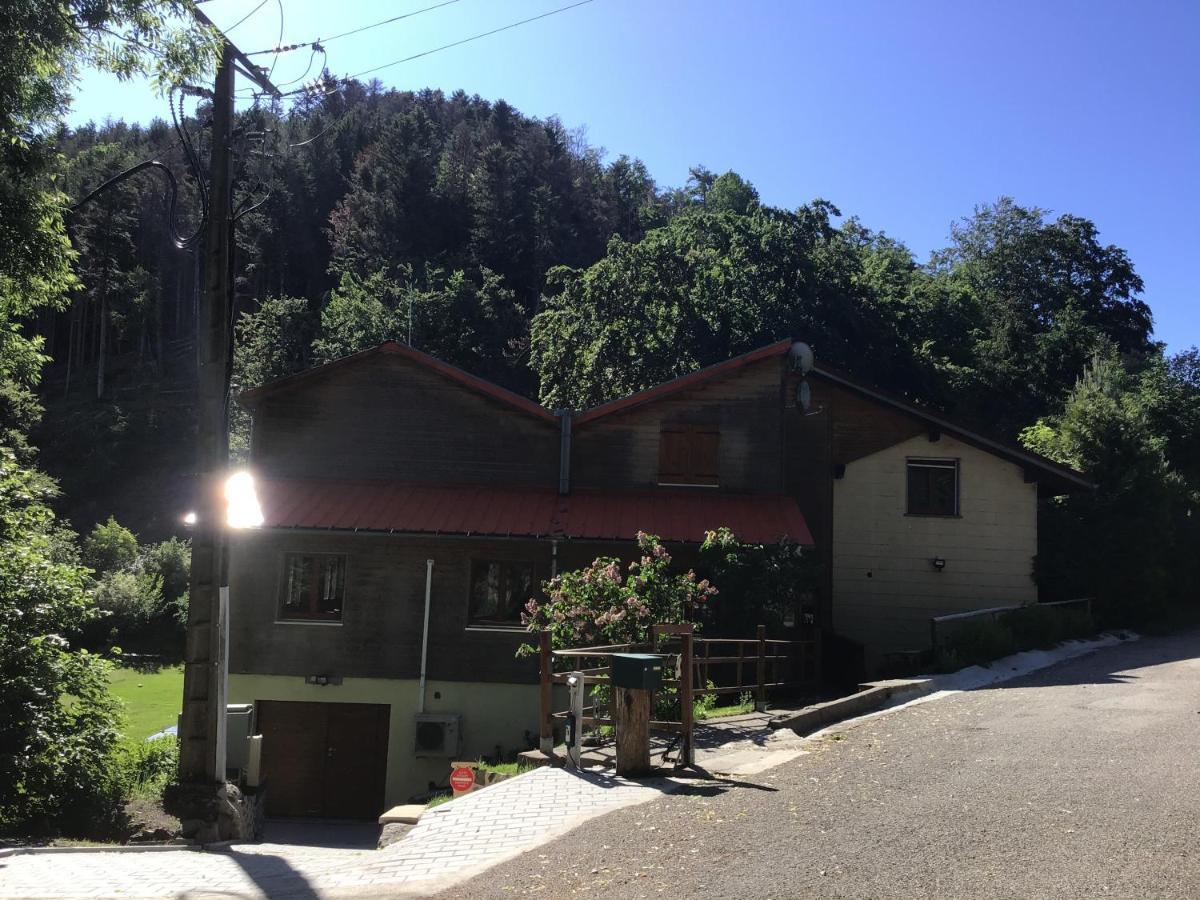 Hotel Restaurant La Fourmi Bourbach-le-Haut Экстерьер фото